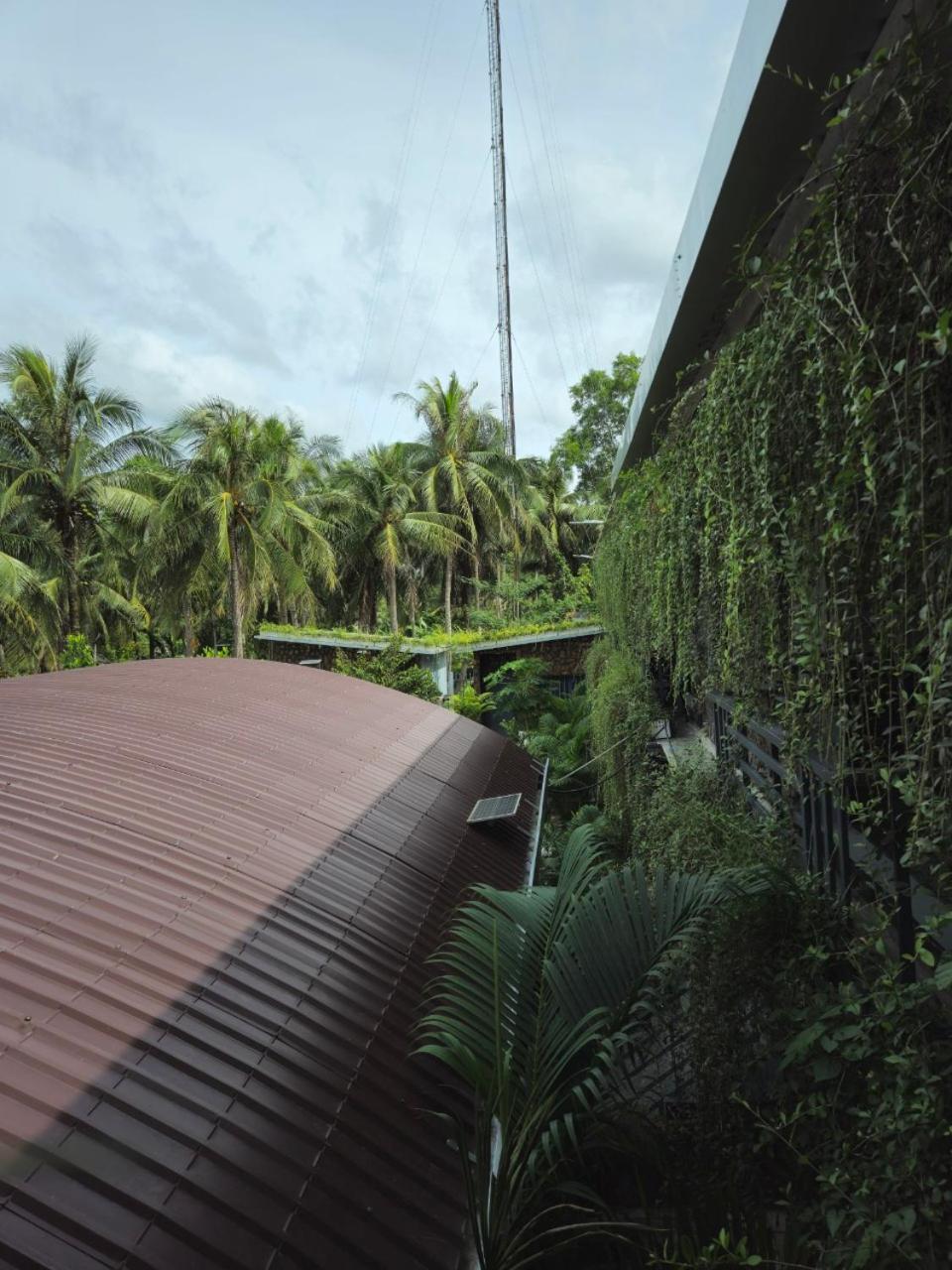Homestay Bao Binh Ben Tre Exterior foto