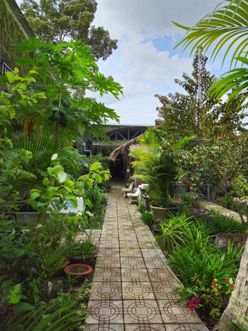Homestay Bao Binh Ben Tre Exterior foto